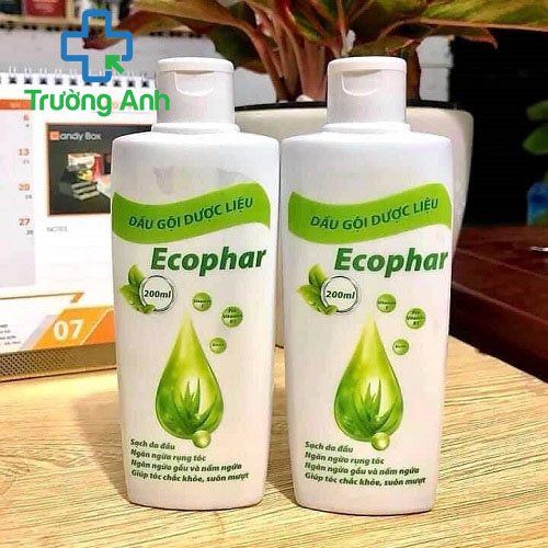 Dầu gội dược liệu Ecophar - 200ml