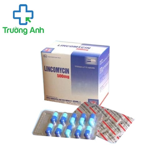 Lincomycin 500mg hộp 10 vỉ x 10 viên nang TW2 Dopharma