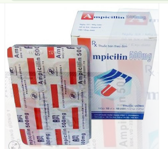 Ampicilin 500mg TW1( H100v) - Ảnh 2