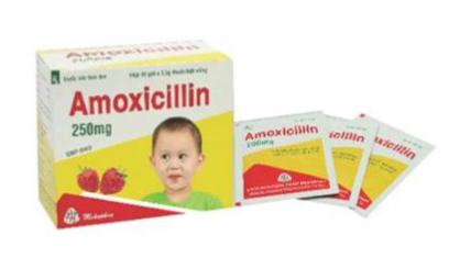 Amoxicillin 250mg (H/30gói) Mekophar - Ảnh 2