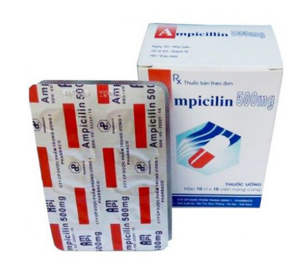 Ampicillin 500mg hộp 10 vỉ x 10 viên nang TW1 Pharbaco