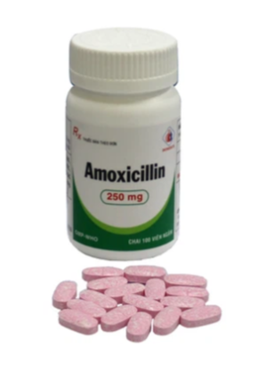 Thuốc Amoxicillin 250mg Domesco điều trị nhiễm khuẩn (100 viên)