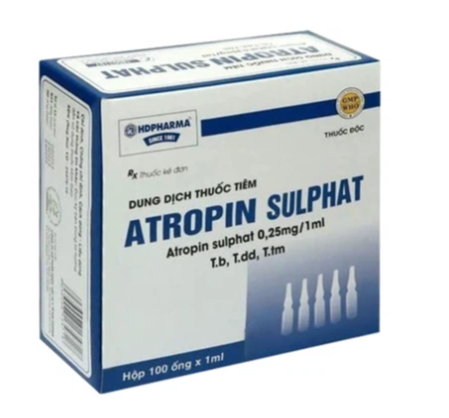 Thuốc Atropin Sulfat Hải Dương chống co thắt, tăng tiết dịch đường tiêu hóa (100 ống)