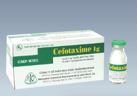 Cefotaxime 1g Hộp/10 lọ