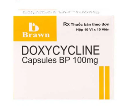 Thuốc Doxycycline 100mg Brawn điều trị bệnh Brucella, bệnh tả (10 vỉ x 10 viên)