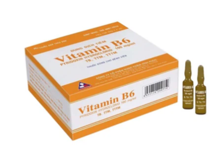 Vitamin B6 100Mg/Ml Vinphaco (100 ống x 1ml)