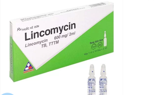 Lincomycin 600mg/2ml hộp 50 ống tiêm x 2ml TW1 Pharbaco