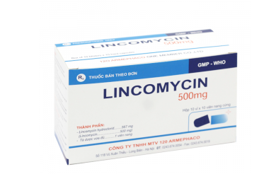 Thuốc kháng sinh LINCOMYCIN 500mg (Armephaco) hộp 10 vỉ x 10 viên nang cứng