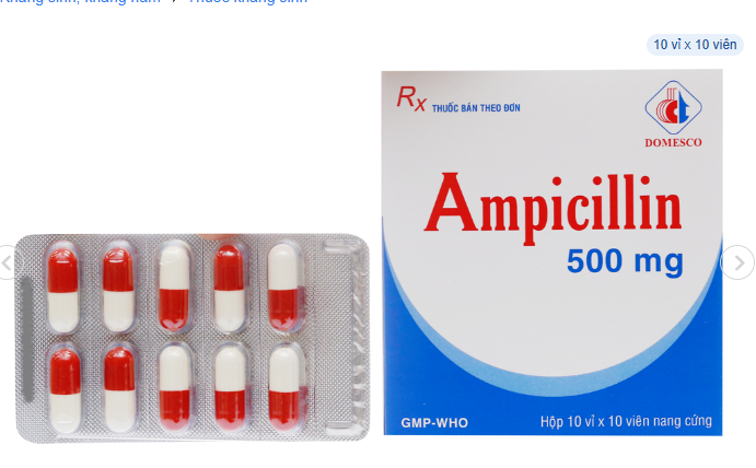 Ampicillin Domesco 500mg trị nhiễm khuẩn (10 vỉ x 10 viên)