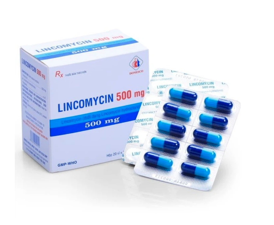 Thuốc Lincomycin 500mg Domesco điều trị các chứng nhiễm khuẩn (20 vỉ x 10 viên)