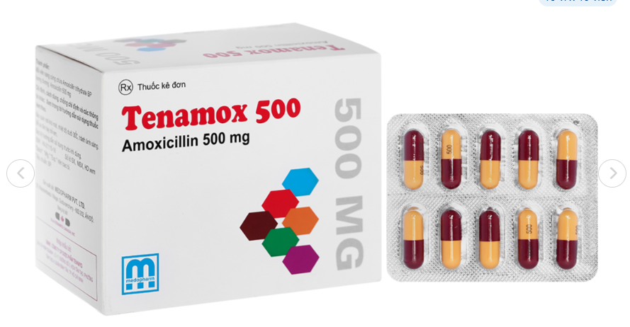 Amoxicillin (Tenamox) 500 trị nhiễm khuẩn (10 vỉ x 10 viên)-medopharm