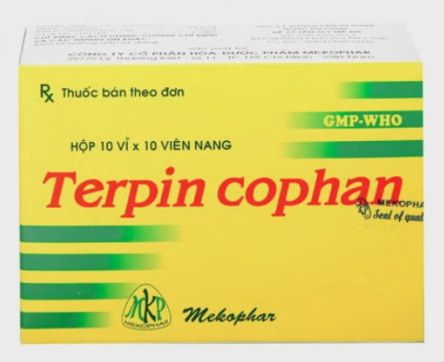 Terpin Cophan 100mg trị ho, tiêu đờm (10 vỉ x 10 viên)