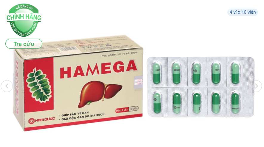 Hamega H/40v