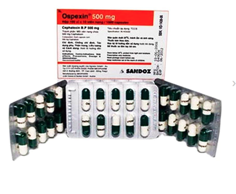 Ospexin 500mg H/100v